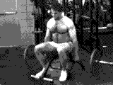 Cambered Barbell Seated Shrug